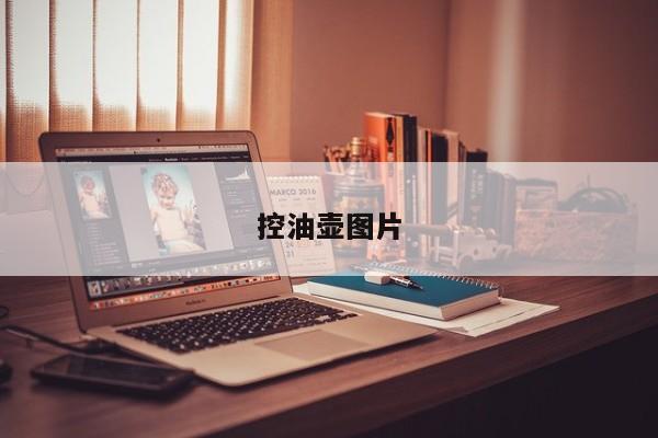 控油壶图片