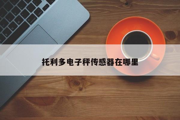 托利多电子秤传感器在哪里