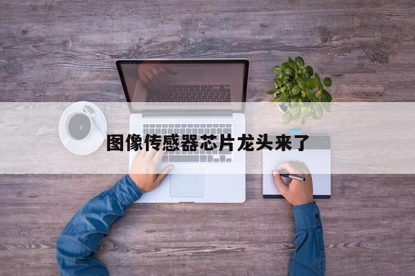 图像传感器芯片龙头来了