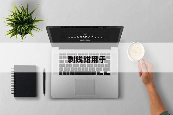 剥线钳用于