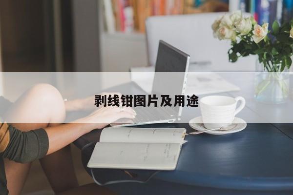 剥线钳图片及用途