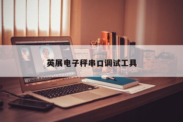 英展电子秤串口调试工具