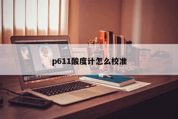 p611酸度计怎么校准