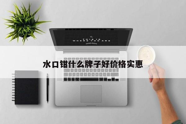 水口钳什么牌子好价格实惠