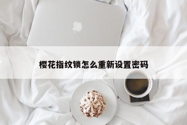 樱花指纹锁怎么重新设置密码