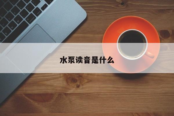 水泵读音是什么