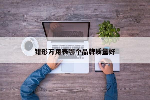 钳形万用表哪个品牌质量好