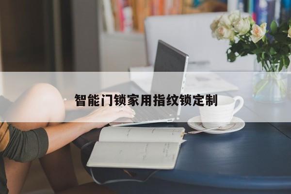 智能门锁家用指纹锁定制