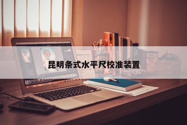 昆明条式水平尺校准装置
