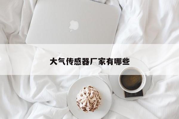 大气传感器厂家有哪些