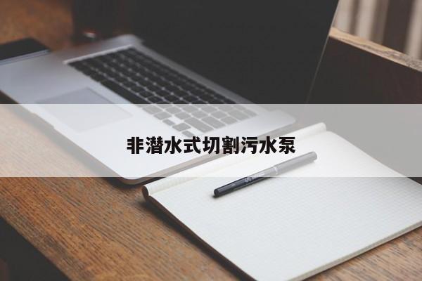非潜水式切割污水泵