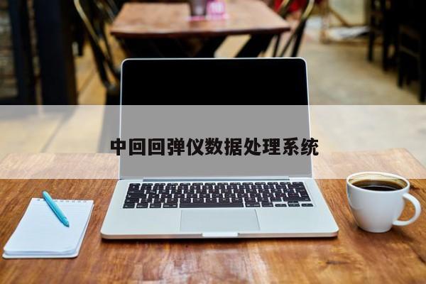 中 *** 弹仪数据处理系统